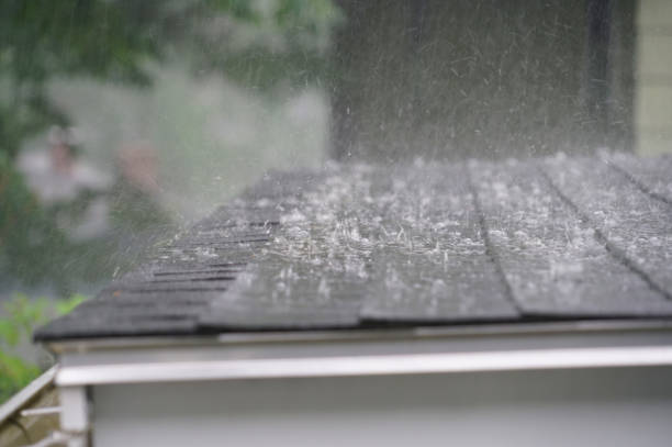 Professional Roofing Service in Gainesville, FL