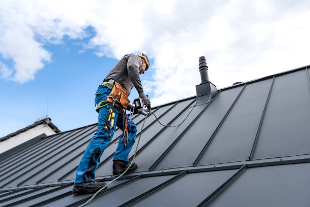 Best Rubber Roofing (EPDM, TPO)  in Gainesville, FL
